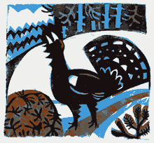 Capercaillie by Greg Poole