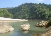 An elephant crossing at the Simsang River, Garo Hills