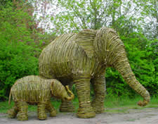 Elephants made from willow