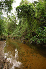 Kanguery River