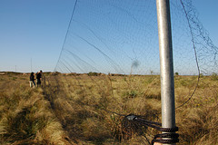 Mistnet