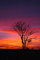 Sunset at Kanguery