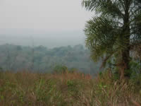 San Rafael