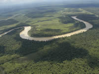 Project area for the Orang-utan Appeal