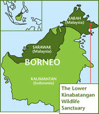 Location of the Borneo project