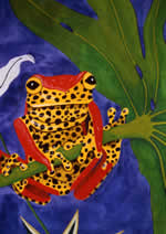 Order the new Poison dart frog Christmas card here