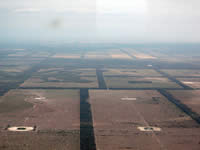 Deforested land in the Paraguayan Chaco