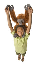 Orang-utan Friend