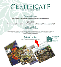 Give the gift of rainforest
