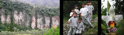 Río Pastaza, children and Sobralia luerorum