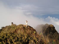 Cerro Candelaria summit