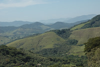 The Guapi Assu Reserve