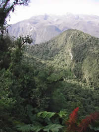 Yanacocha Reserve