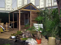 WLT's Atlantic Rainforest exhibit being constructed