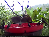 Snapshot from the Ecuador webcam
