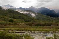 REGUA Wetland REGUA Wetland