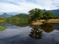 REGUA wetlands