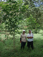 HUTAN reforestation workers HUTAN reforestation workers