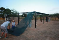 Installing community plant nursery