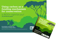 Introductory Guide CD