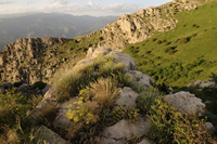 Caucasus Wildlife Refuge