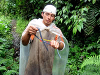 Luis Recalde