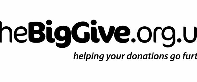 Big Give Logo