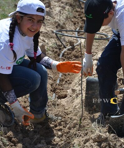 Local school children plant trees
