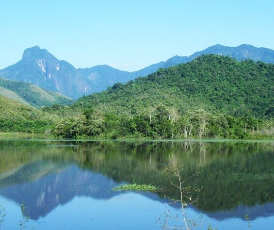 Guapi Assu Reserve, Brazil