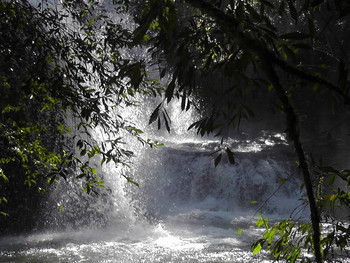 Photograph of a waterfall in the Atlantic Rainforest of Misiones
