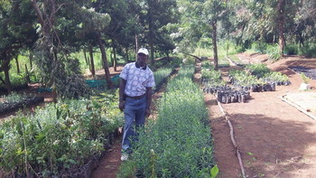 Photograph of Nelson Njihia