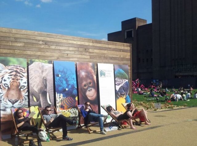 Photograph of WLT deckchairs and display boards at the Chelsea Fringe, Battersea Power Station. © Ruth Stanton Saringer.