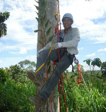 Photograph of Keeper of the Wild José Manchay tree climbing in the Laipuna reserve.