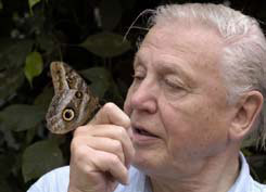 Sir David Attenborough with a butterfly from the programme Life in the Undergrowth.