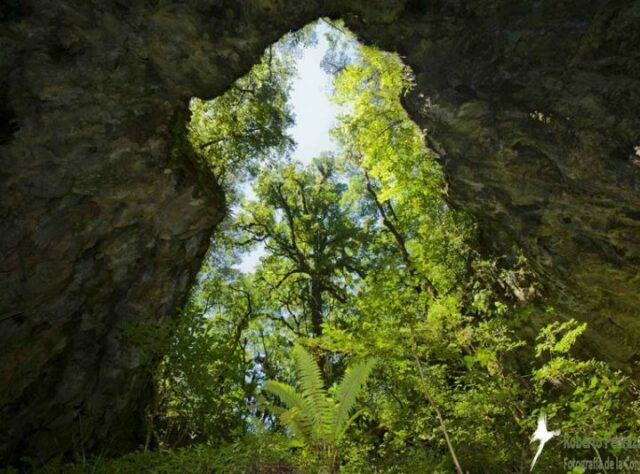 Photograph of a sinkhole in Sierra Gorda where rare butterworts grow. © Roberto Pedraza Ruiz.