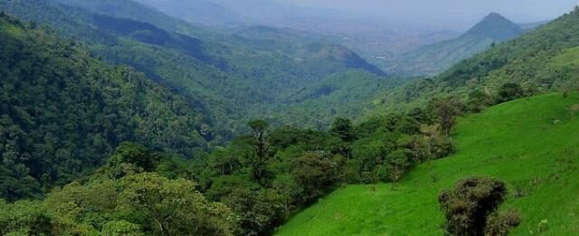 Landscape photograph of the forested mountains of Buenaventura Reserve