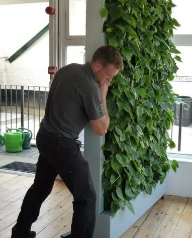 Photograph of Mitchell Dorman of Enterprise Plants moving the mobile green wall into position. © Christina Ballinger / WLT.