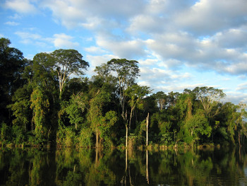 Riverside landscape of Atlantic Forest in Paraguay. © Ilosuna.