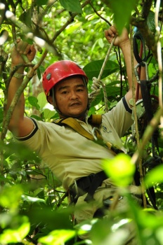 Warden with protective gear in a tree