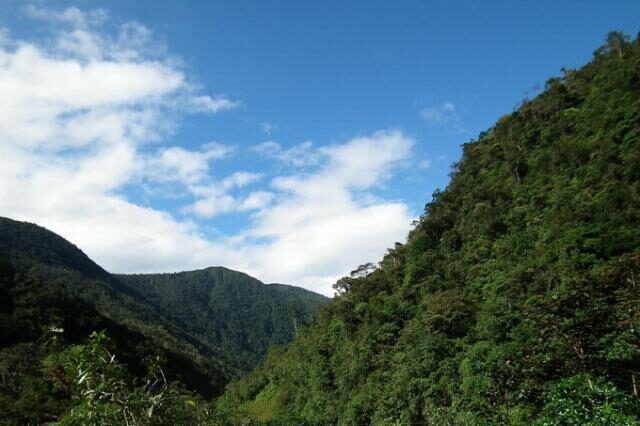 A view of the 390 acre property. © NCI Ecuador.