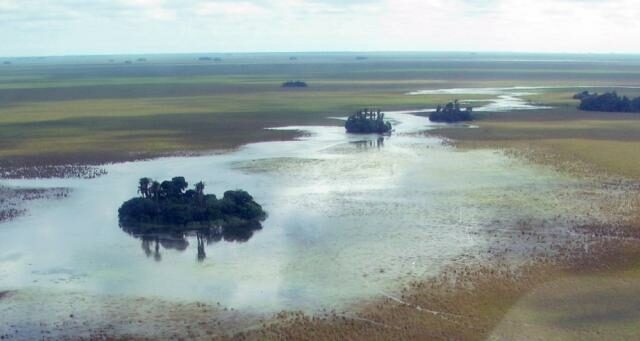 Aerial view of the forested islands of the Beni savanna.