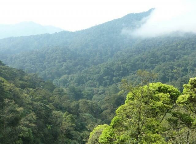 Mountainous, tree covered landscape with cloud