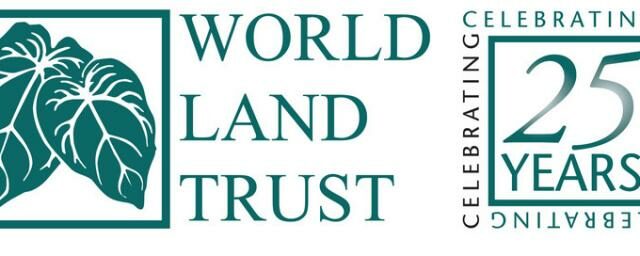 WLT 25th Anniversary logo.