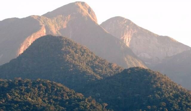 Landscape view of Atlantic forest in Brazil.