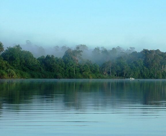 Kinabatangan River.