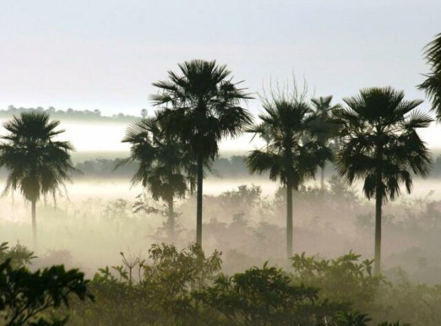 Chaco-Pantanal landscape