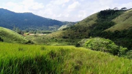 Landscape view of the new property.