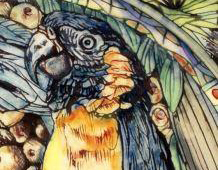 Detail of Blue-throated Macaw from a figural bowl by Maureen Minchin.