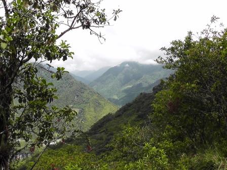View of Río Zuñac Reserve.