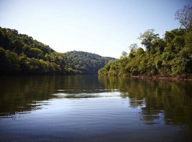 View of the Uruguay river near WLT’s Misiones project.